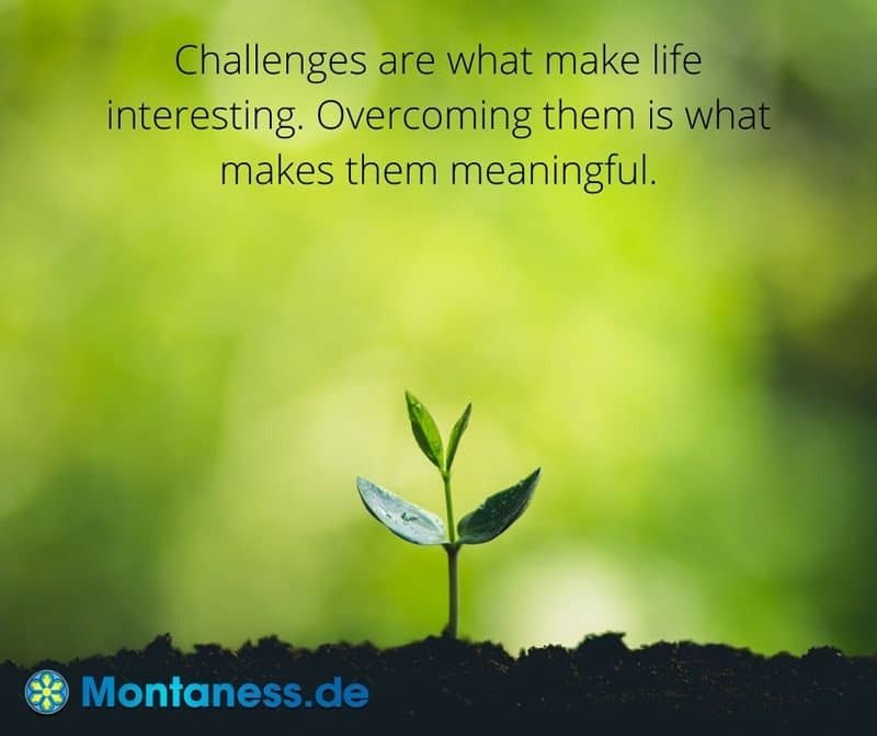 109-Challenges are what make life interesting