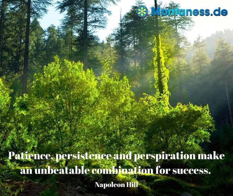 208-Patience persistence and perspiration