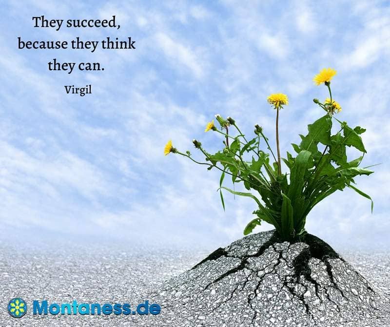 228-They succeed because they think they can