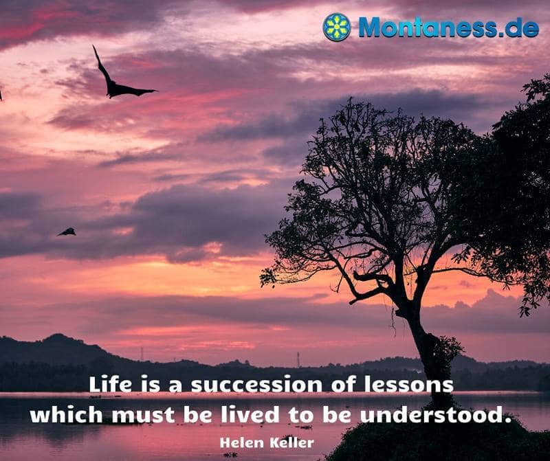 264-Life is a succession of lessons
