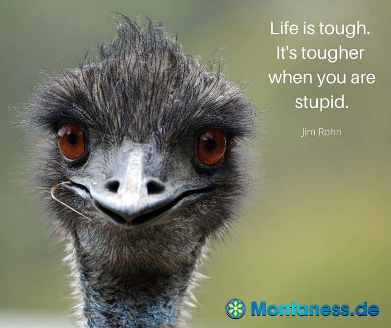 279-Life is tough its tougher when you are stupid