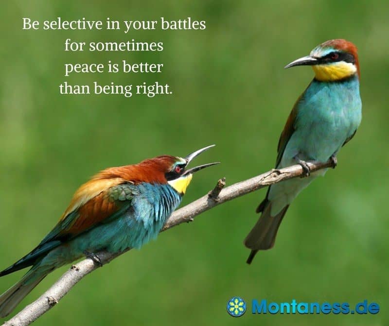 303-Be selective in your battles